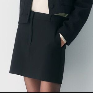 Aritzia Babaton Chisel Skirt (size 6)